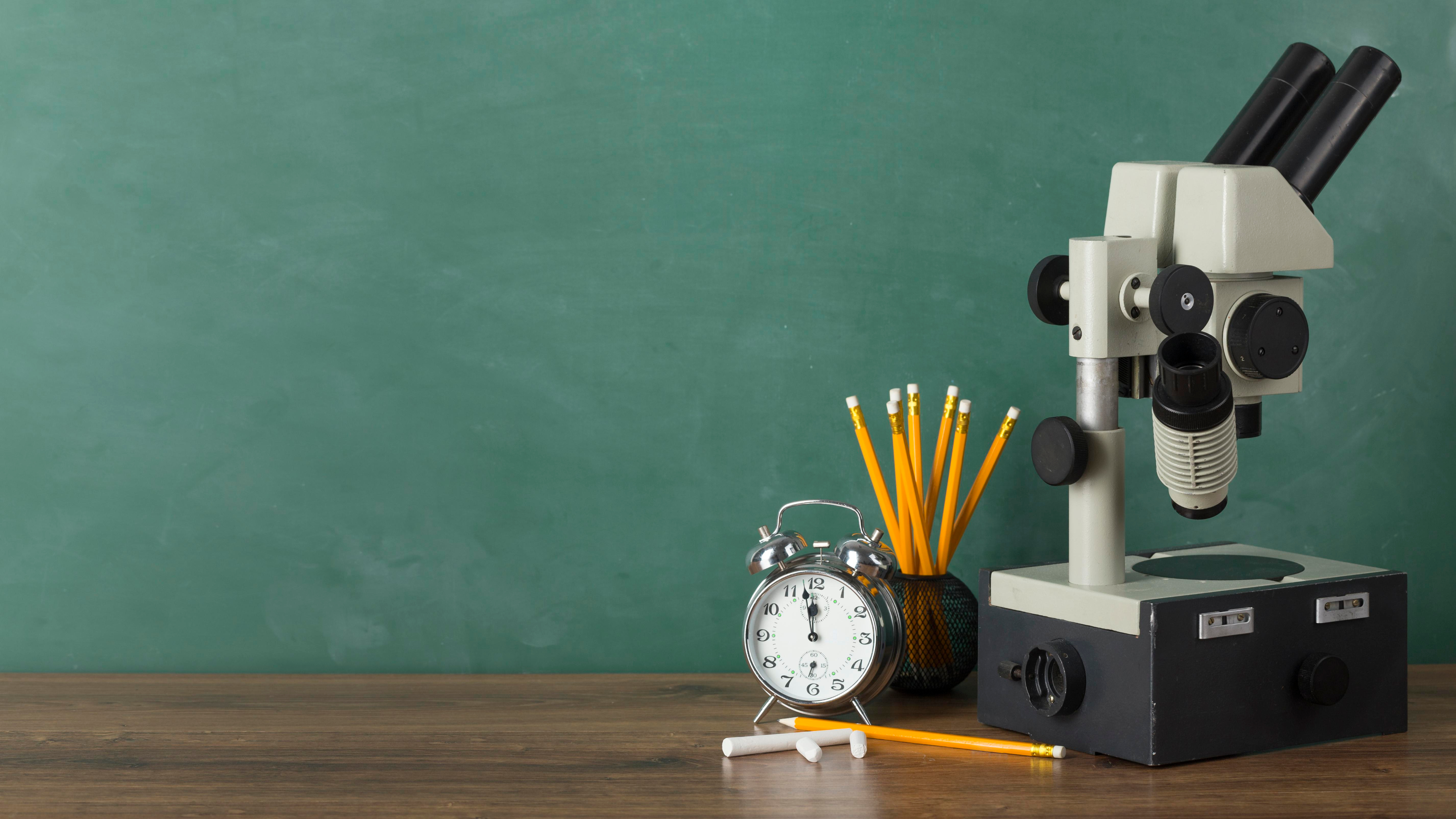 french tutor Toronto 31