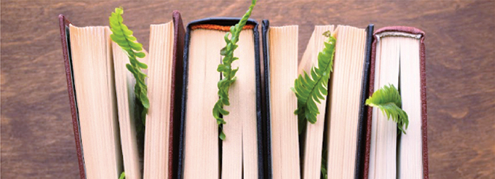 Toronto Summer School 88