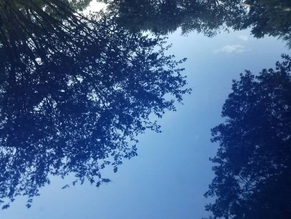 Second person point of view 2